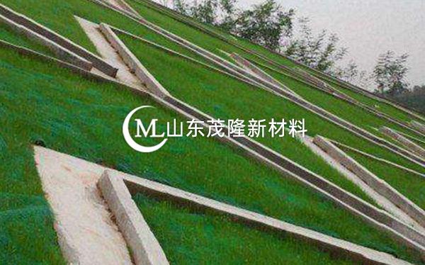 《都勻至安順公路項(xiàng)目》土工格柵、三維植被網(wǎng)施工