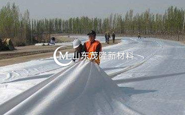 《河北省邯鄲園博園》土工布、排水板施工