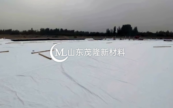 《中國(guó)石化庫車商儲(chǔ)庫工程》土工膜、土工布施工  第5張
